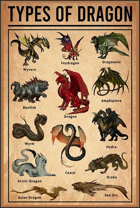 Dragon Identity Chart Art Print on Aluminum Plate Dungeons & Dragons - Etsy