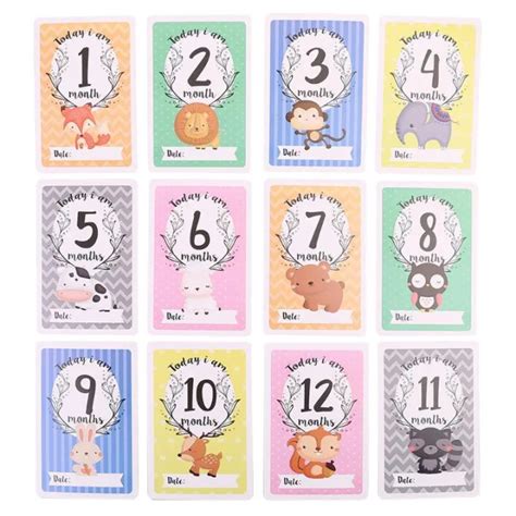 12 Sheet Milestone Photo Sharing Cards Gift Set Baby Age Cards - Baby ...