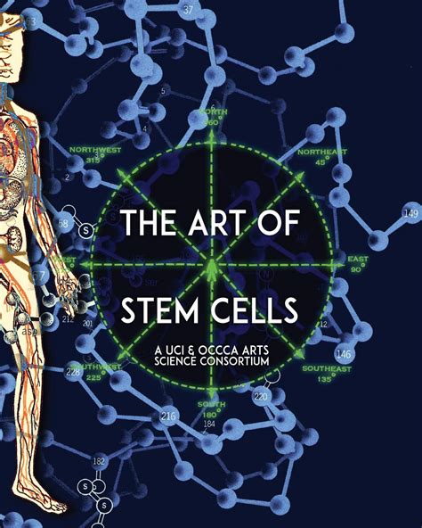 Buy The Art of Stem Cells: A U.C.I. & O.C.C.C.A. Arts Science ...