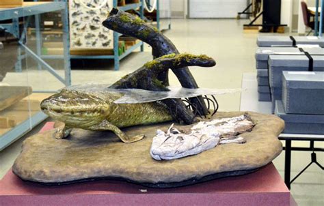 Nunavut’s fish fossil treasures come home to Canada | Nunatsiaq News