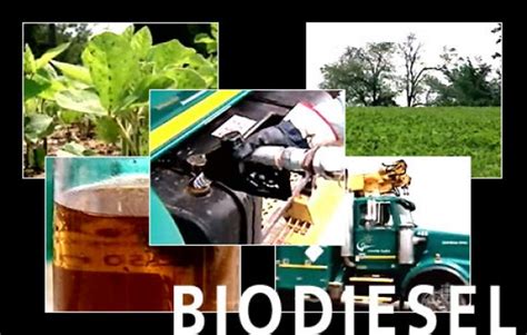 What You Should Know about Biodiesel Cars - Alternative Energy Sources