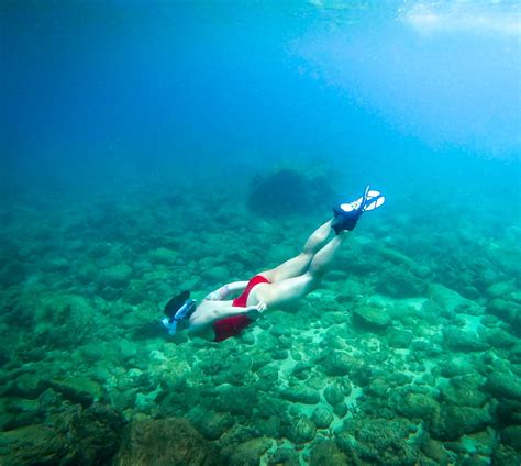 Best Snorkeling in Oahu: 6 Not-to-Miss Places to Explore - Uprooted Traveler