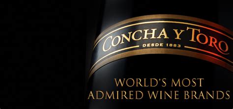 Concha Y Toro: The Chilean Brand that Changed the Wine World – Enobytes ...