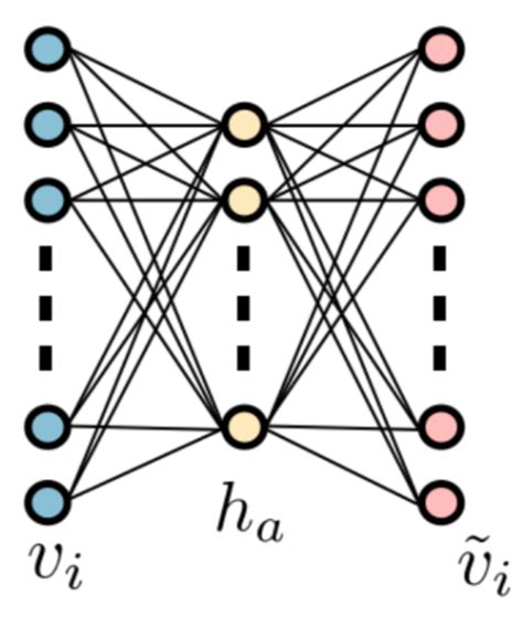 The neural network of RBM with a visible layer {v i } and a hidden... | Download Scientific Diagram