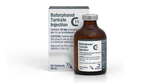 Butorphanol For Dogs: Vet Gives Dose, Side Effects & Alternatives