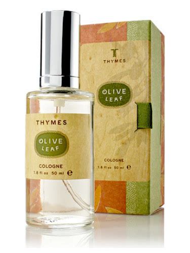 Olive Leaf Thymes perfume - a fragrance for women and men