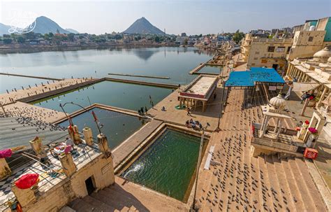 The Best Things To Do In Pushkar, India | Phil and Garth