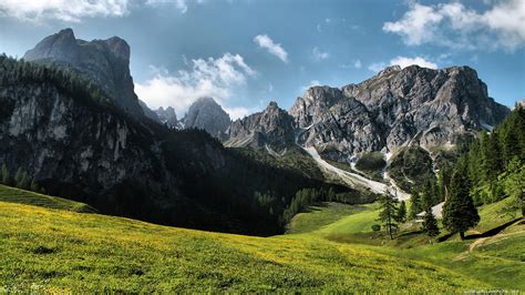 Beautiful Mountain Meadow wallpaper | 1920x1080 | #26850