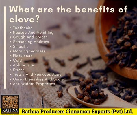 The natural health benefits of cloves are simply amazing and you may be surprised to learn of ...