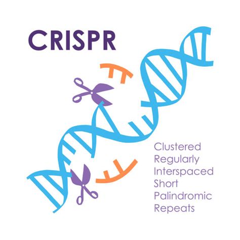 20+ System Crispr Stock Photos, Pictures & Royalty-Free Images - iStock