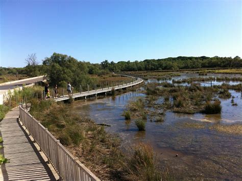 les marais de Camargue | Au coeur de 730 hectares de marais,… | Flickr