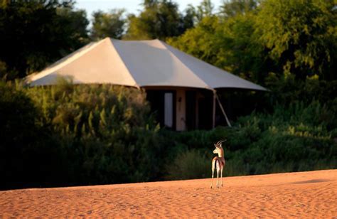 Al Maha Desert Resort, UAE | World Travel Magazine