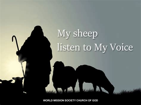 My Sheep Listen to My Voice