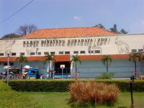 Surabaya Zoo / Kebun Binatang Surabaya (KBS)