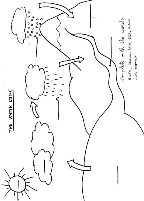 The Water Cycle Worksheet Bogglesworldesl Worksheet R - vrogue.co