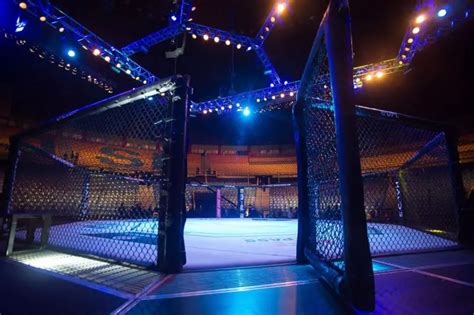 UFC OCTAGON: THE SIZE OF A CHAMPION’S DEN