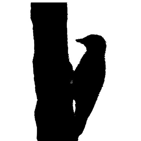 Download #00FF00 Woodpecker Outline SVG | FreePNGImg
