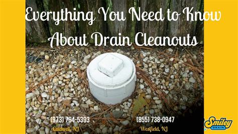 Everything You Need To Know About Drain Cleanouts | Smiley Drain Cleaning