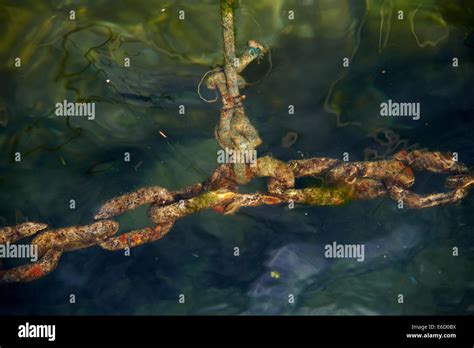 anchor chain underwater in the sea Stock Photo - Alamy