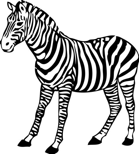 Free Black And White Zebra Clipart, Download Free Black And White Zebra Clipart png images, Free ...