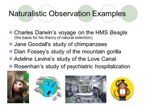 Naturalistic Observation and Case-Study Research - ppt video online download