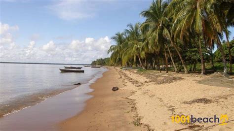 Galibi strand (Galibi beach)