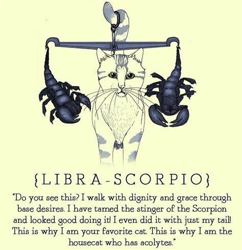 Libra Scorpio Cusp Woman | Libra scorpio cusp, Libra sun scorpio moon, Libra and scorpio ...