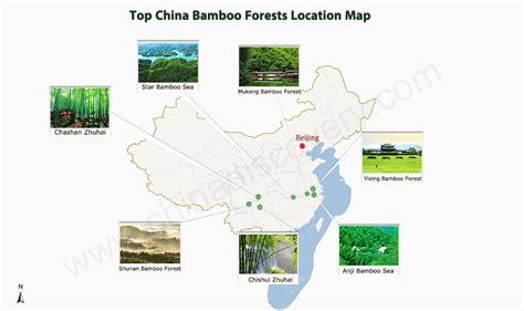 Top 6 Bamboo Forests in China, Best Bamboo Seas in China 2024