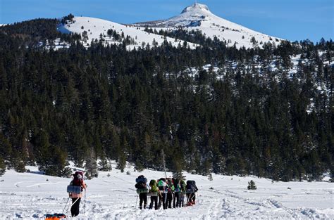 Avalanche In Tahoe Ski Resort Killed One Skier, Another One Hurt | Nature World News