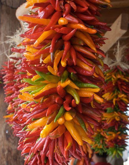 How to Dry Chili Peppers | Dried chili peppers, Stuffed peppers, Hot ...