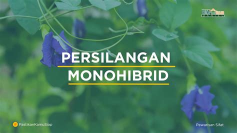 Persilangan Monohibrid - RBDigital