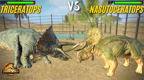 Triceratops vs Nasutoceratops - Who is Stronger? Jurassic World Evolution 2 | JWE2 - YouTube