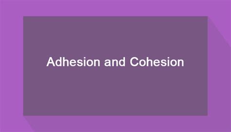 Cohesion And Adhesion