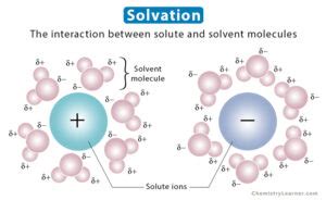 Solvation: Definition, Process, and Examples