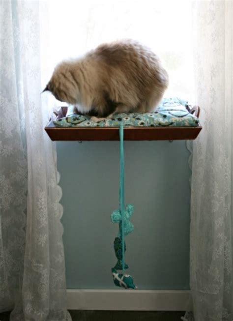 Amazing DIY Cat Window Perch - Shelterness