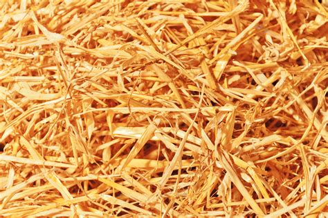 Straw Texture Free Stock Photo - Public Domain Pictures
