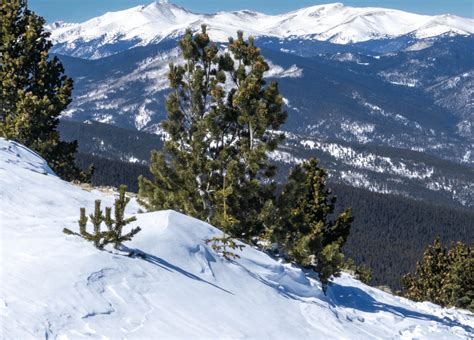 Summit Chief Mountain, Mind Boggling Views! - Crazy About Colorado