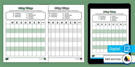 Mrs Gren Worksheet | Life Sciences | Twinkl USA - Twinkl