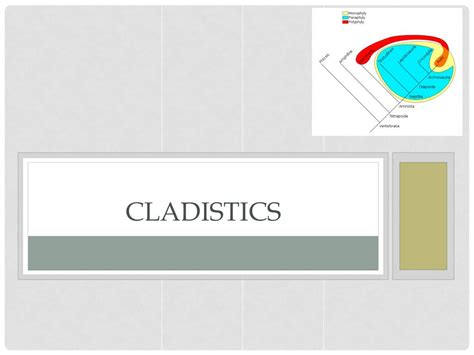 PPT - Cladistics PowerPoint Presentation, free download - ID:2810306