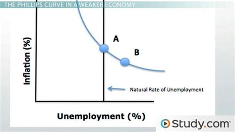 Phillips Curve in the Short & Long Run | Definition & Graph - Video & Lesson Transcript | Study.com