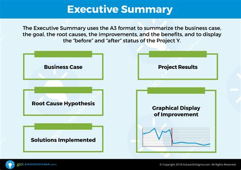 Project Executive Summary Template | Classles Democracy