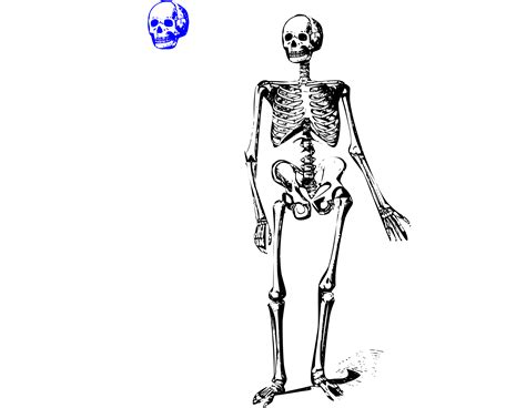 Clipart - Animation of Skeleton 3