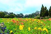 Free picture: conservatory, flowers, golden, gate, park, Francisco