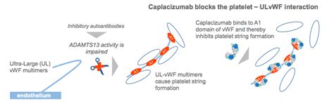 Ablynx takes Phase III hurdle in acquired TTP - European Biotechnology