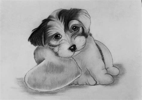 Cute puppy pencil drawing | Pencil drawings, Drawings, Cute puppies