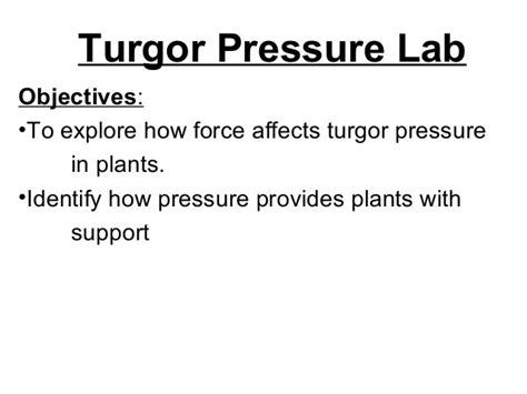 Turgor pressure lab