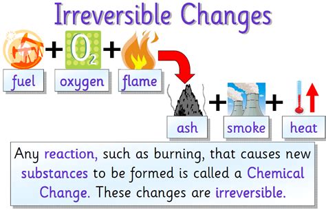 Anatomy and physiology study guide: Reversible and Irreversible Changes