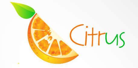 Pin by joshua zaragoza on Logo by Joshua Zaragoza | Citrus logo, Logos ...