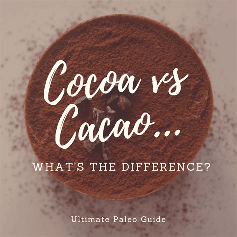 Cocoa vs. Cacao - What's The Difference | Ultimate Paleo Guide