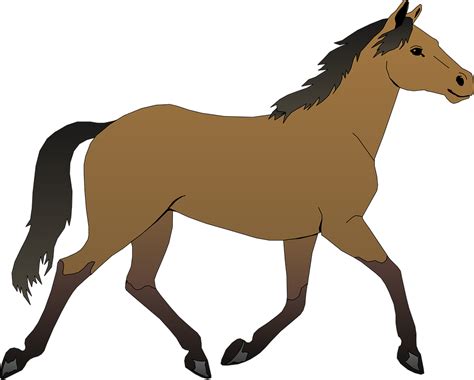 Download Horse, Brown, Stallion. Royalty-Free Vector Graphic - Pixabay